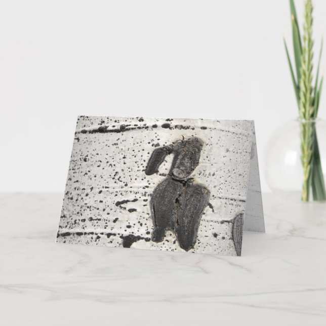 Carte Écorce en tremble photo filtrée vierge à l'intérie (Devant)