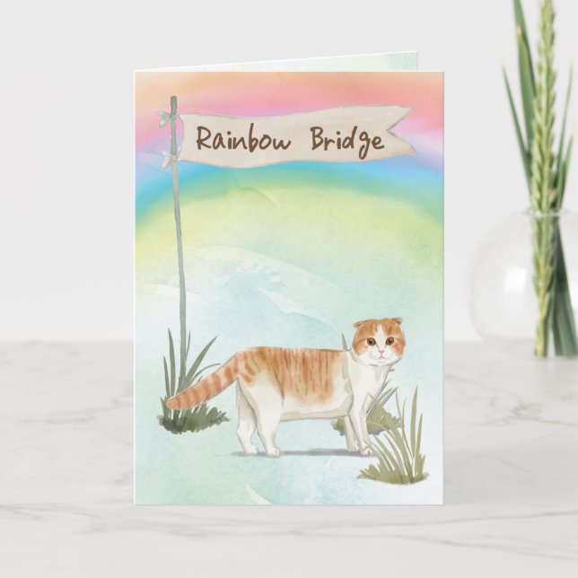 Carte Écossais Poulet de chat Sympathie sur Rainbow Brid (Devant)