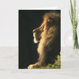 Carte Écoutez le soleil venir