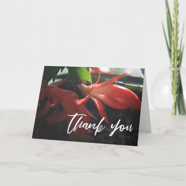 Carte Écriture décontractée Merci Noël Cactus (Devant)