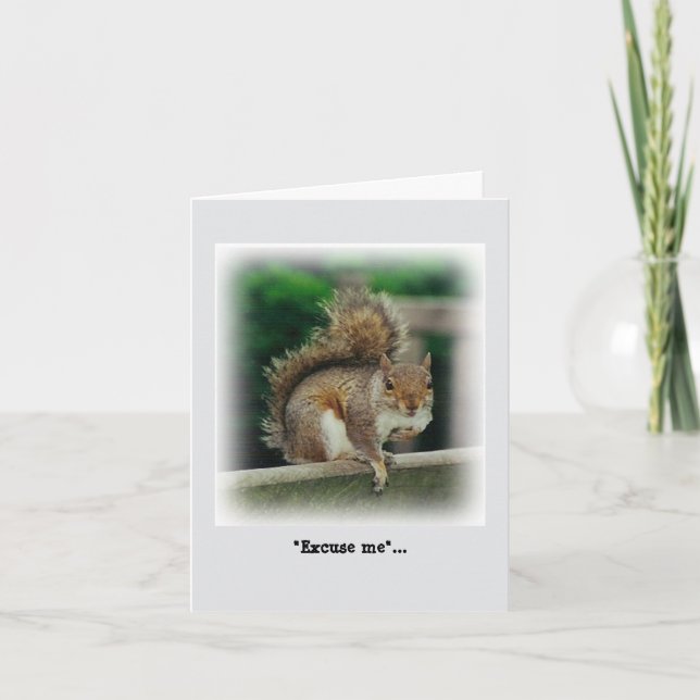 Carte Écureuil affamé à la recherche d'un cadeau gratuit (Devant)