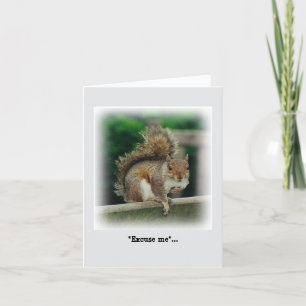 Carte Écureuil affamé à la recherche d'un cadeau gratuit