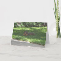 Écureuil de jazz d'anniversaire