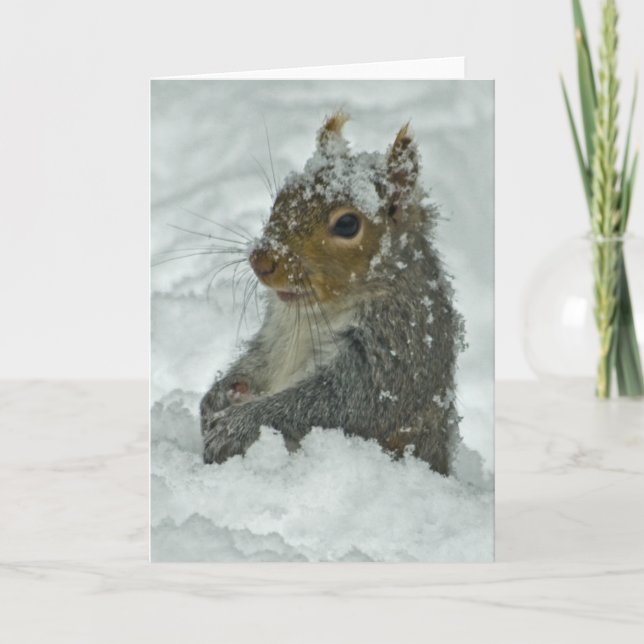 Carte Écureuil de neige (Devant)
