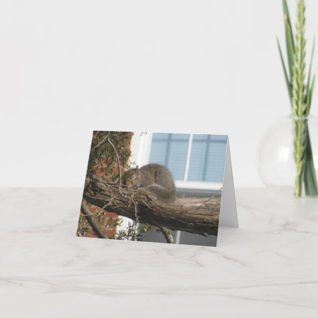Carte Écureuil de sommeil (Devant)