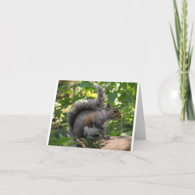 Carte Écureuil gris (Devant)