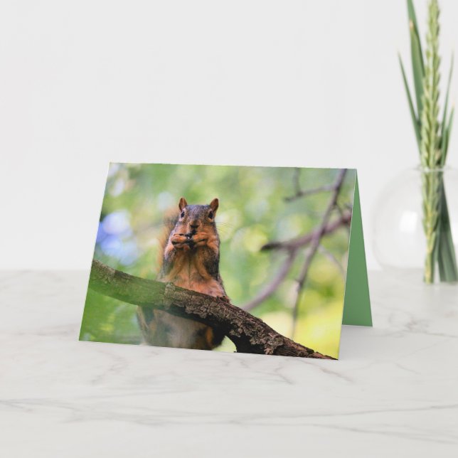 Carte Écureuil harmonique (Devant)