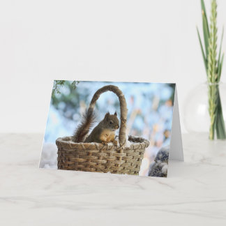 Carte Écureuil mignon dans un panier en hiver