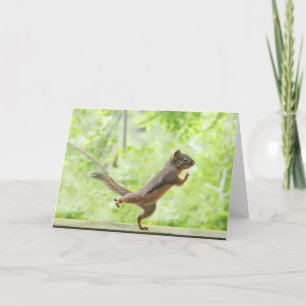 Carte Écureuil mignon faisant Tai Chi