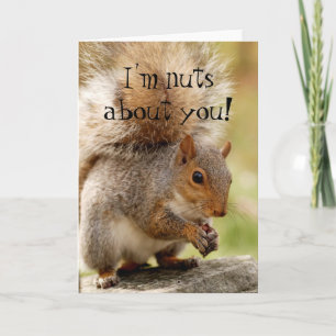 Carte "Écureuil Mignon Fou de Toi"
