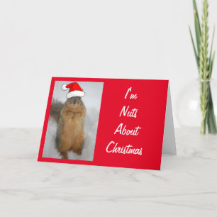 Carte Écureuil mignon portant un chapeau de Père Noël
