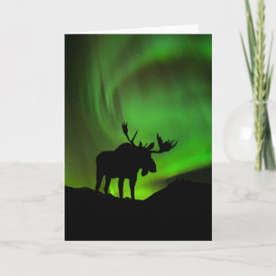 Carte Élan avec aurore boréale verte, Alaska