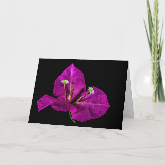 Carte Élégant Bougainvillier violet (Devant)