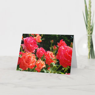 Carte Elégant corail rouge orange rose jardin rose