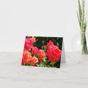 Carte Elégant corail rouge orange rose jardin rose