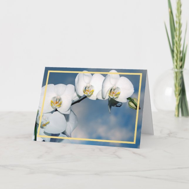 Carte Elégant moderne Orchidées Blanches Fleurs Cadres d (Devant)