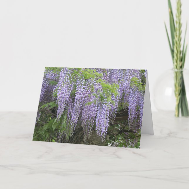 Carte Élégant Moderne Purple Fleurs De Wisteria Se Font  (Devant)