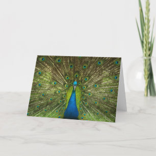 Carte Elégant Peacock Blue Green Feathers Photo
