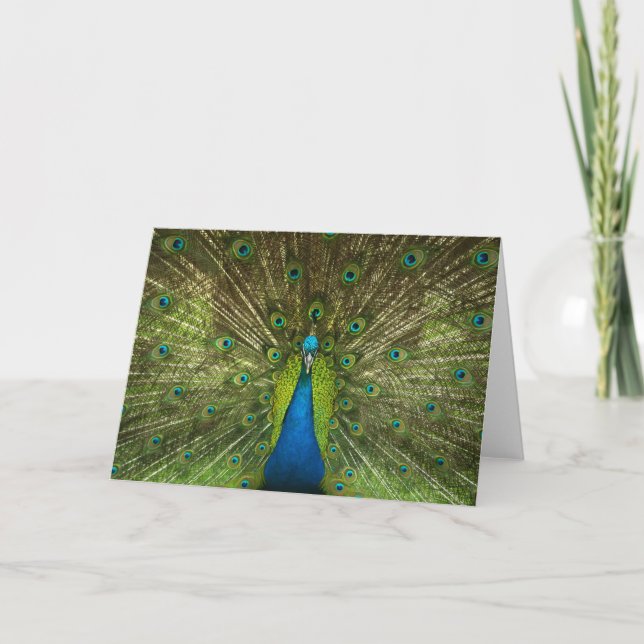 Carte Elégant Peacock Blue Green Feathers Photo (Devant)