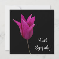 Élégant rose violet fleur de tulipe fin art sympat