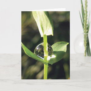 Carte Élégant, simple, Habille avec Dew Nature
