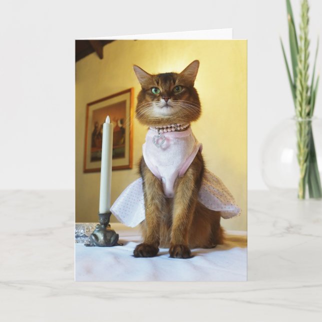 Carte Elegant Somali Cat Invitation, Party, or Greeting (Devant)