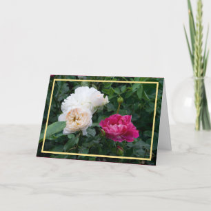 Carte Elégante Crème Moderne Roses Roses Roses Rose Phot