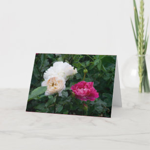 Carte Élégantes roses crème modernes Fleurs Guérissez vi