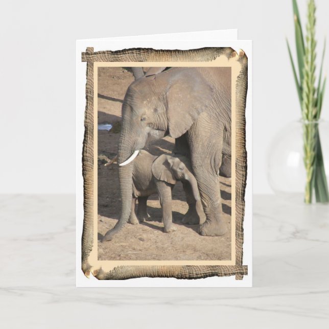 Carte Elephant and Calf Card (Devant)