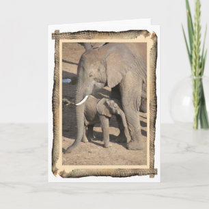 Carte Elephant and Calf Card