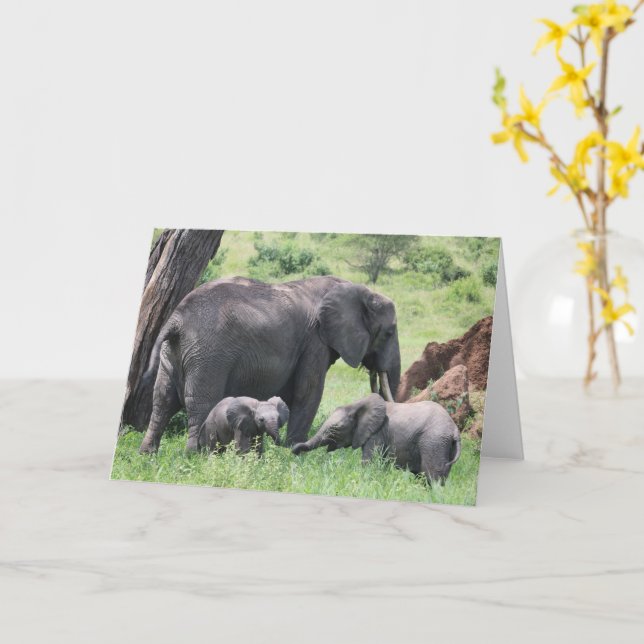 Carte Elephant avec des veaux Faune Bébé Animaux Photo (Fleur jaune)