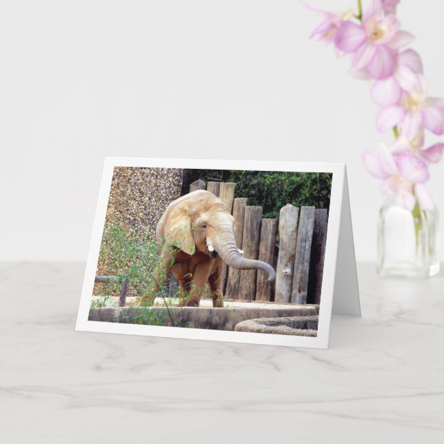 Carte Éléphant dans le parc (Orchidée)