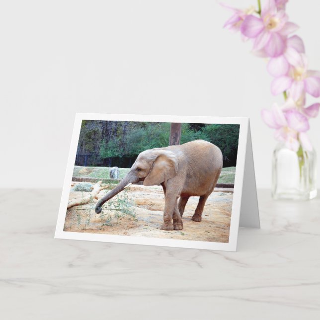 Carte Eléphant dans le portrait du parc (Orchidée)