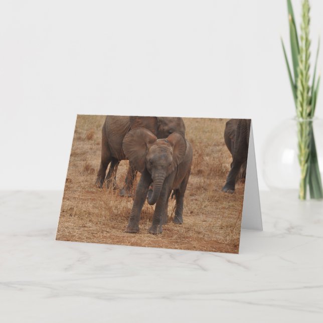 Carte Éléphant de bébé (Devant)