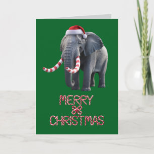 Carte Éléphant drôle Noël Vacances
