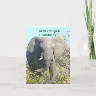 CARTE ELEPHANT/I N'OUBLIENT JAMAIS UN BIRTHDAY/EXCEPT