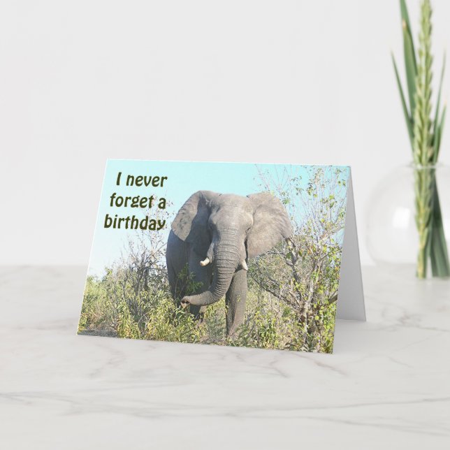 Carte ÉLÉPHANT "je NAISSANCE de /BELATED n'oublie jamais (Devant)
