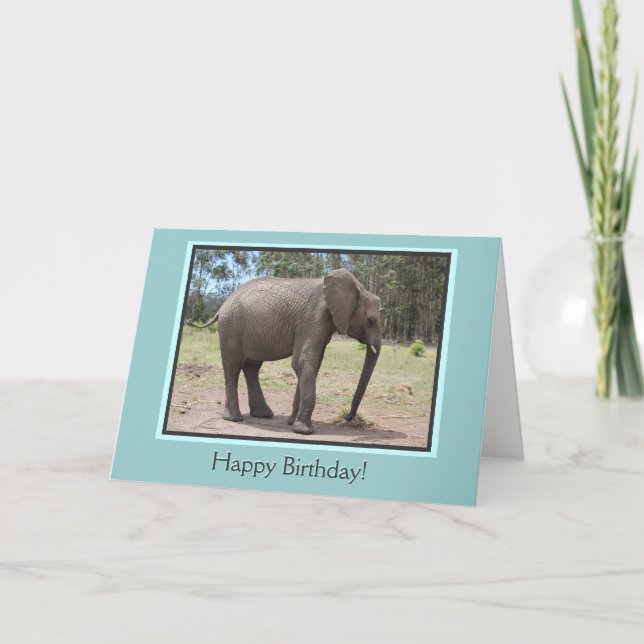 Carte Elephant Joyeux anniversaire (Devant)