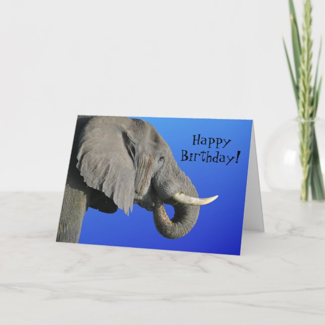 Carte Elephant Joyeux Anniversaire Funny Age bleu et gri (Devant)