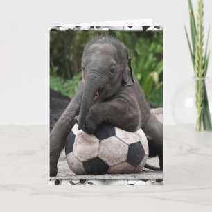Carte Elephant Soccer