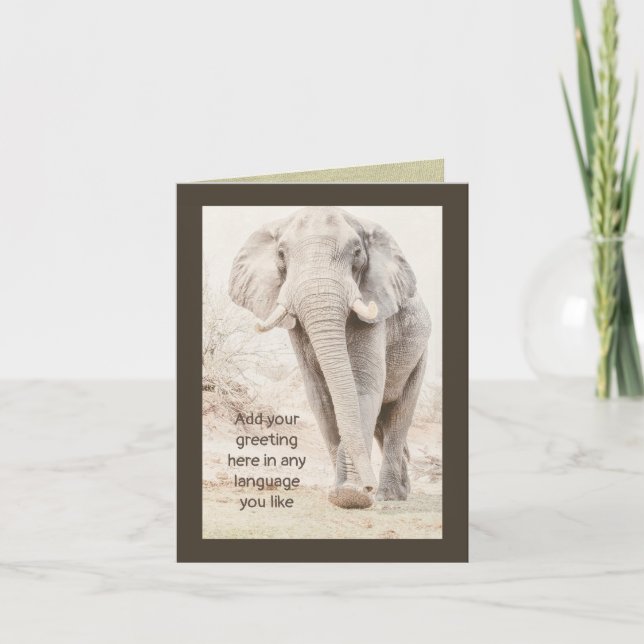 Carte éléphant: vide et personnalisable (Devant)