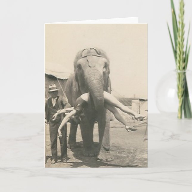Carte elephant witrl in mouth greeting card (Devant)