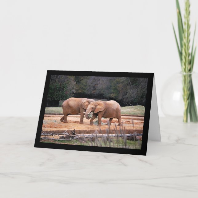 Carte Éléphants d'Afrique (Devant)