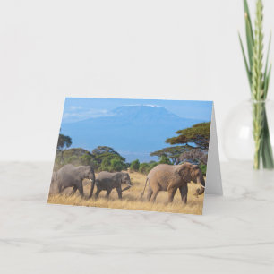 Carte éléphants du Kilimandjaro