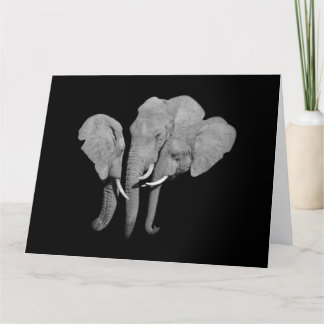 Carte Éléphants saluant