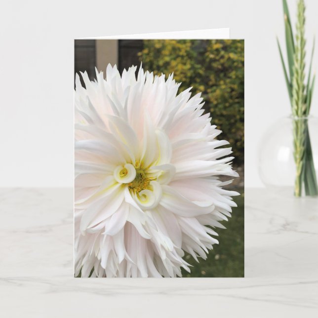Carte Elfe Dahlia (Devant)
