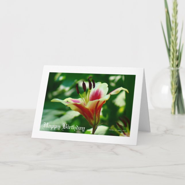 Carte Elle marche dans la beauté... (Devant)