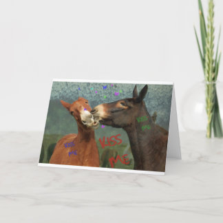 Carte Embrasse-Moi !