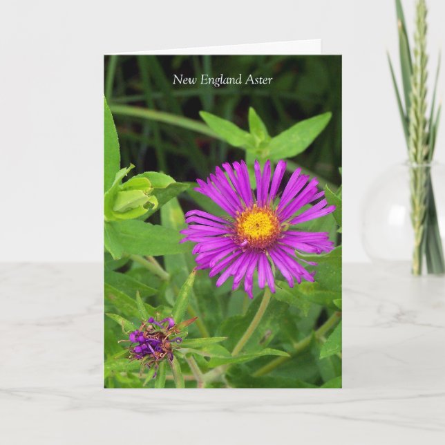 Carte Embrasse sans câlin... Devis de jardinage (Devant)