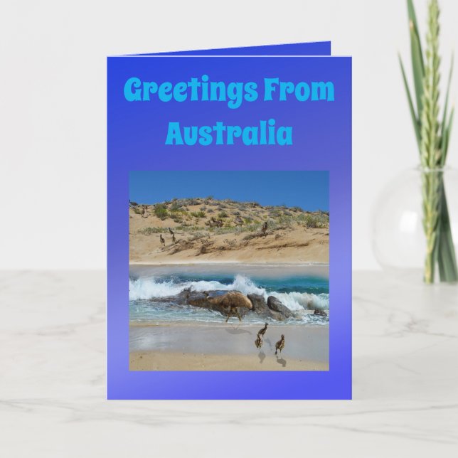 Carte Émeu et koala australiens, anniversaire (Devant)